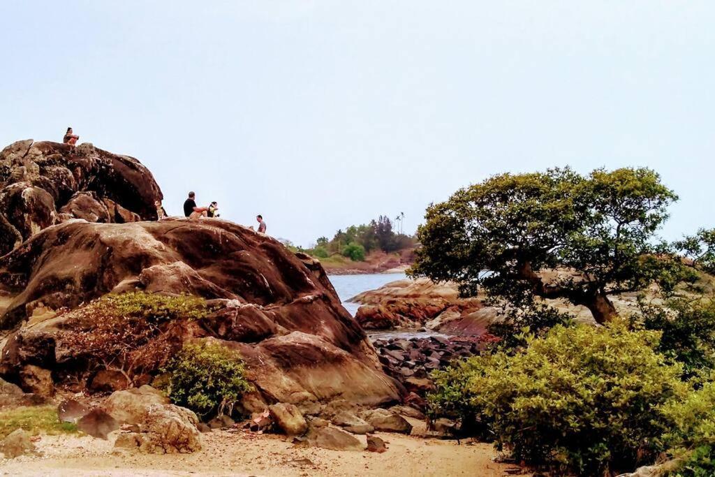 Cockerel Homestay - Traditional Beach Village - Goa كِناكونا المظهر الخارجي الصورة