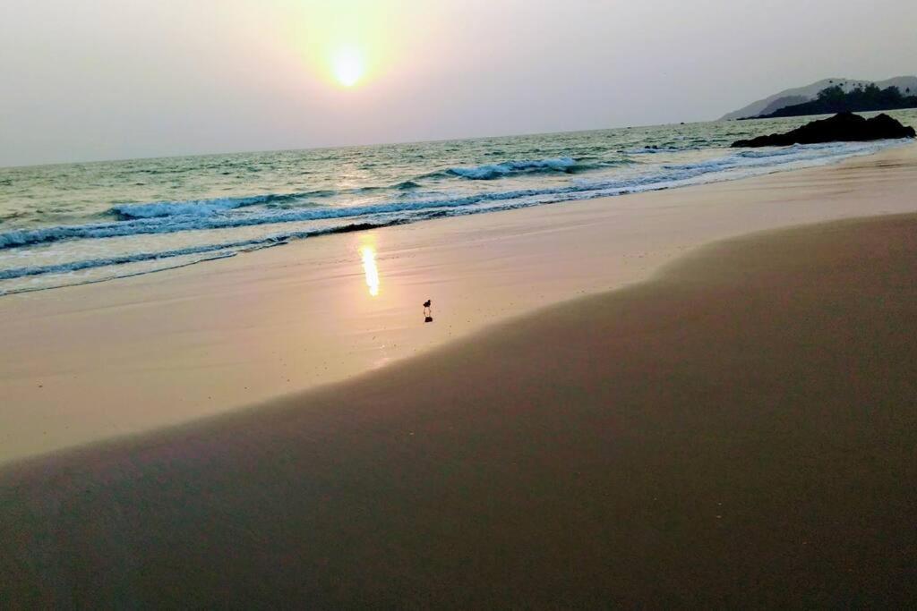 Cockerel Homestay - Traditional Beach Village - Goa كِناكونا المظهر الخارجي الصورة
