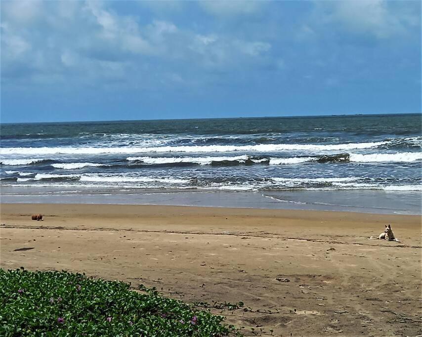 Cockerel Homestay - Traditional Beach Village - Goa كِناكونا المظهر الخارجي الصورة