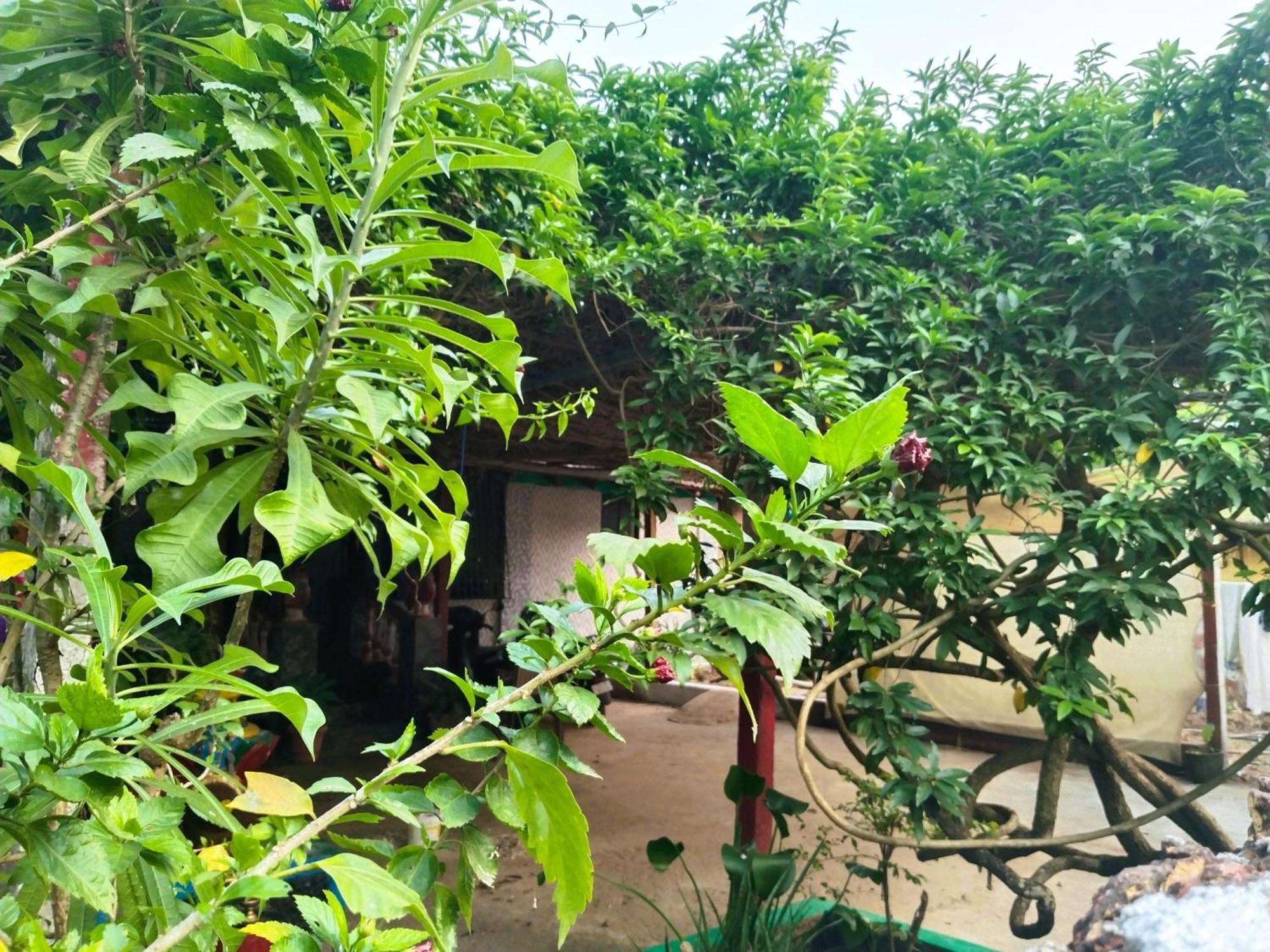 Cockerel Homestay - Traditional Beach Village - Goa كِناكونا المظهر الخارجي الصورة